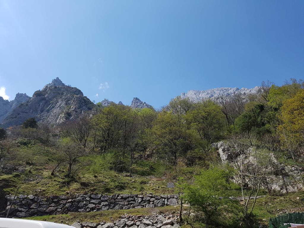 Hotel Garganta Del Cares بونسيبوس المظهر الخارجي الصورة